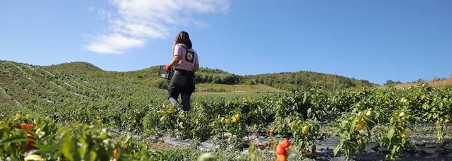 Fuqizimi i grave në agrobiznes: Rasti i Kaltrina Rexhepi Hasani, përfituese e projektit IWKA