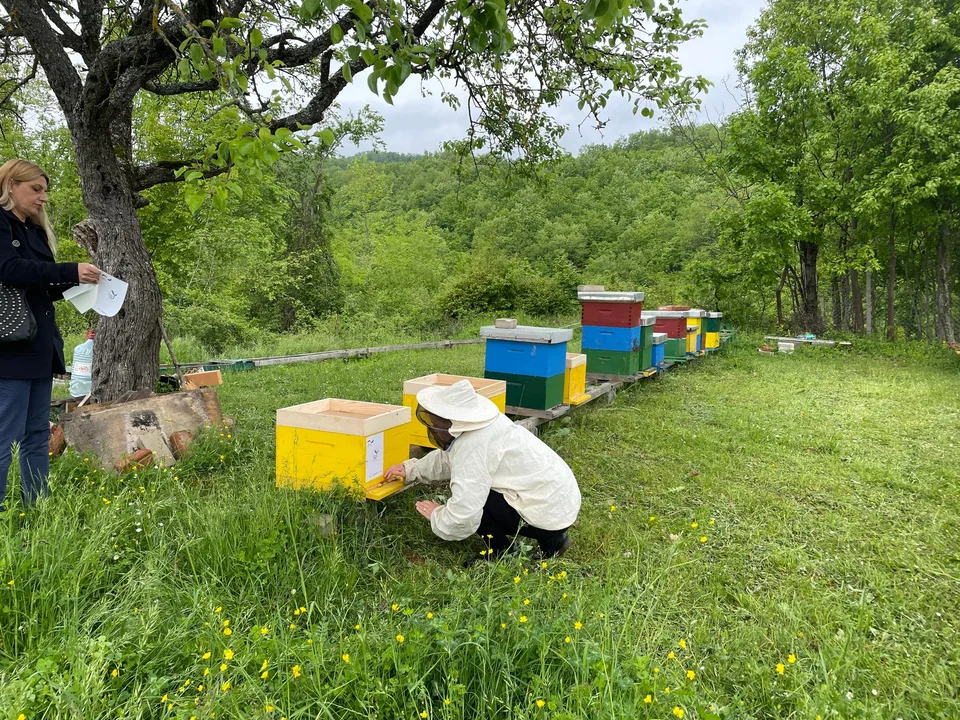 Në kuadër të projektit “IWKA - Përfshirja e grave në agrobiznesin e Kosovës” u realizua shpërndarja e bletëve tek përfitueset e grantit në Komunën e Ferizajit, Junikut, Prishtinës dhe Graçanicës