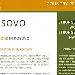 WfWI - Kosovo Country Profile