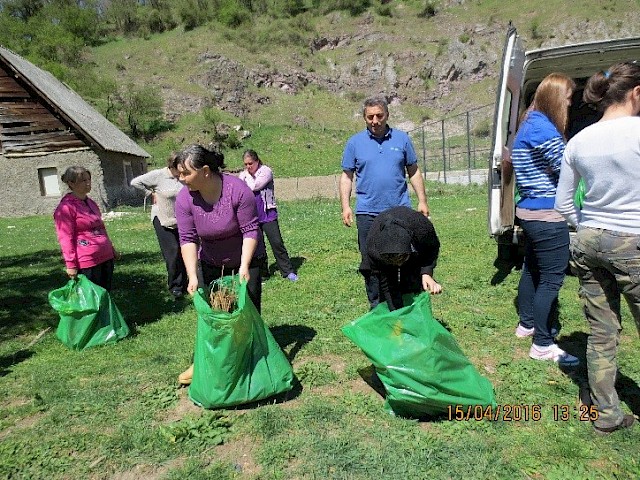 AN ACTIVITY PLAN TO SUPPLY RASPBERRY SEEDLINGS