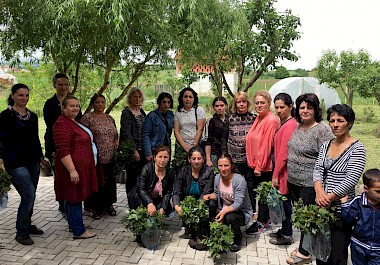 5,000 RASPBERRY SEEDLINGS ARE DONATED FOR KOSOVAR WOMEN