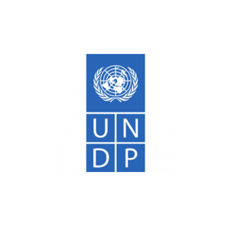 undp