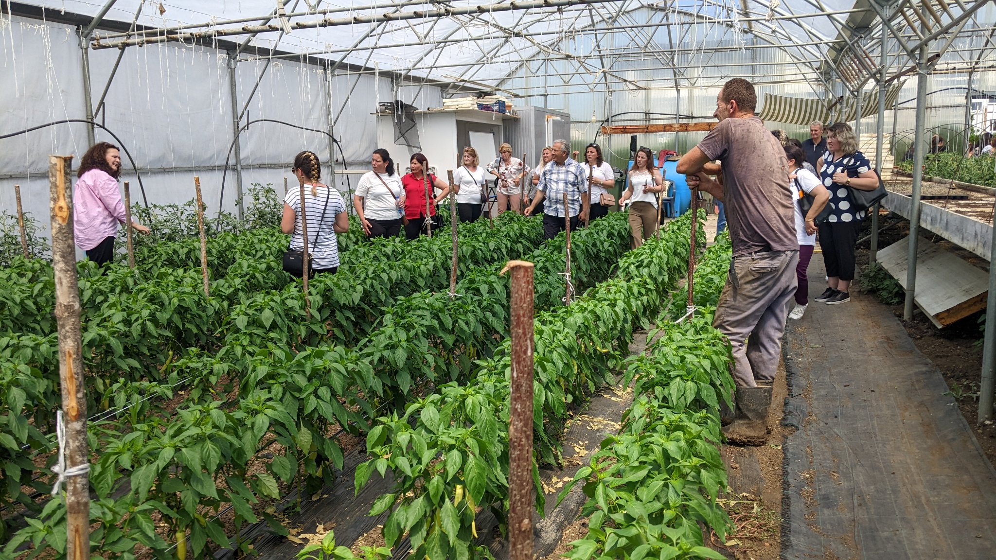 Vizita e grave nga Pjetershtica, pjesëmarrëse në trajnimin për bujqësi, në SHMB “Abdyl Frashëri”