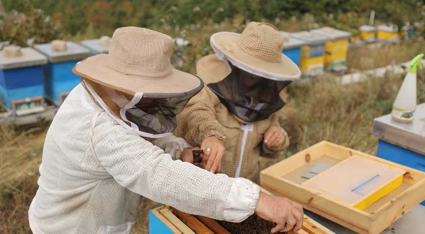 Nga pasioni te qëndrueshmëria: Rrugëtimi i Meritës Januzi në bletari