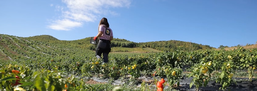 Fuqizimi i grave në agrobiznes: Rasti i Kaltrina Rexhepi Hasani, përfituese e projektit IWKA