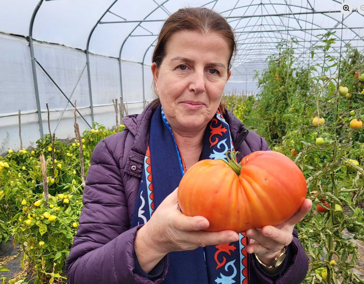 Nga toka në sukses: Historia frymëzuese e Zelfije Abdyli
