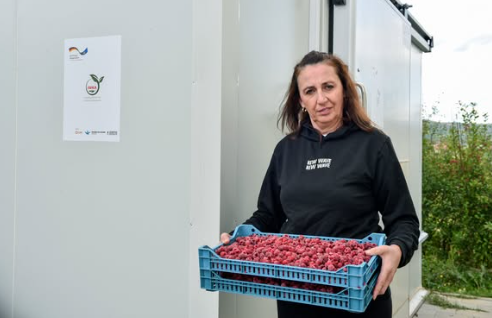 Nazmije Elezi: Nga Sfida e Ruajtjes së Mjedrave tek Zgjerimi i Biznesit të Qëndrueshëm